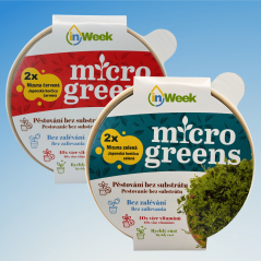 2x Mizuna bez zalévání - microgreens semínka inWeek.cz