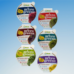 6x Sada microgreens semínka inWeek (výběr 2)