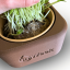 Obal na inWeek misku pro pěstování microgreens - Výběr obalu na misku: Mnohoúhelník, Barva obalu: Tmavá hnědá (ořechový odstín)