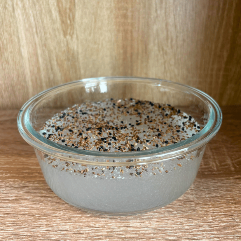 Skleněný kulatý box na pěstování microgreens 650ml