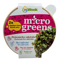 Kaleráb ružový - semienka microgreens - pestovanie bez zalievania inWeek