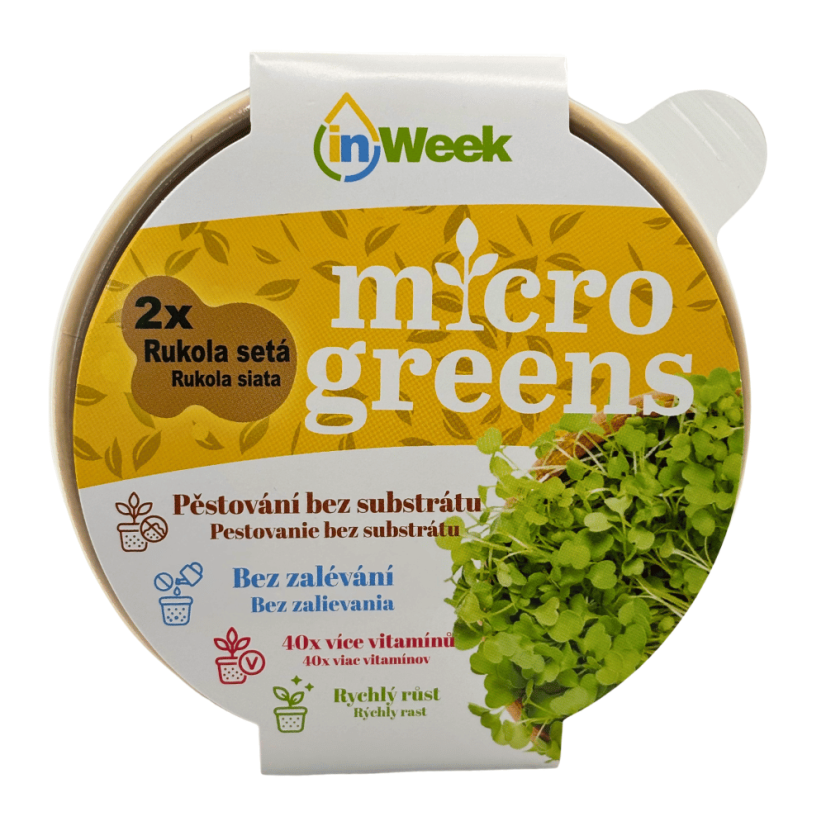 Rukola - semienka microgreens - pestovanie bez zalievania inWeek