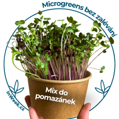 Microgreens semínka - Mix do pomazánek