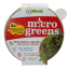 Mizuna červená - semínka microgreens - pěstování bez zalévání inWeek