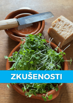 Netušil jsem, že něco opravdu může vyrůst i bez hlíny, prohlásil mladý muž