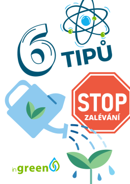 6 tipů pro domácí pěstování BEZ zalévání