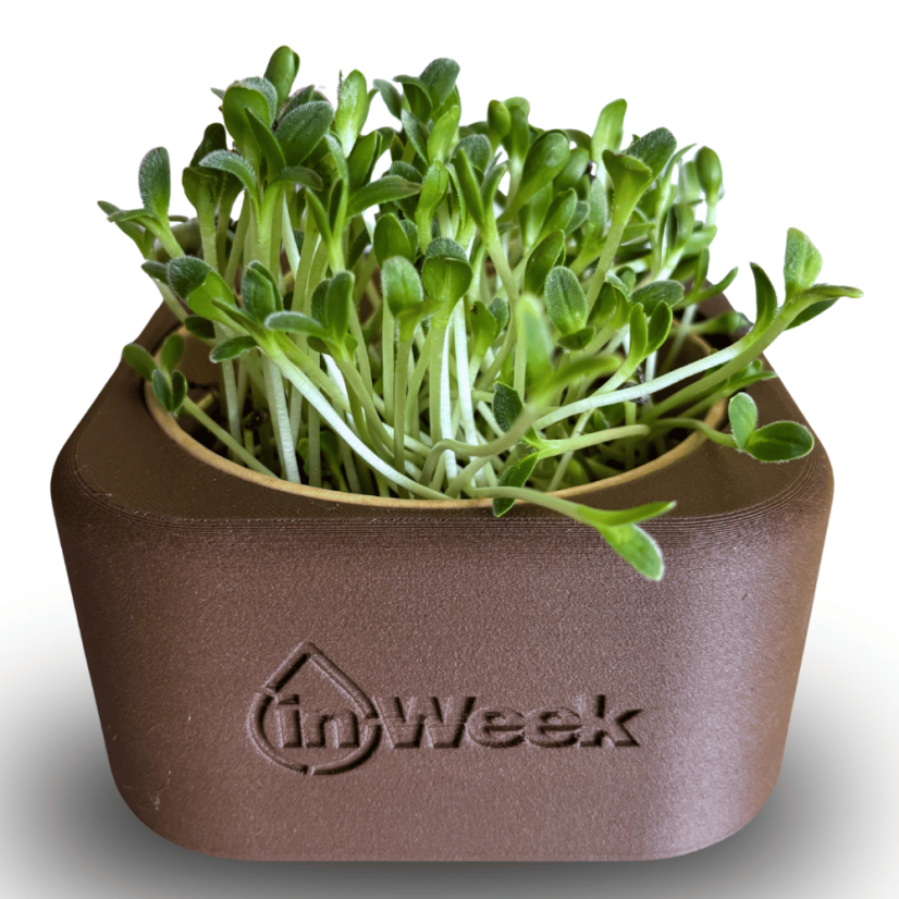 Obal na inWeek misku pro pěstování microgreens - Výběr obalu na misku: Zaoblený čtverec, Barva obalu: Světlá hnědá (přírodní odstín)