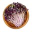 Červené zelí - semínka microgreens - pěstování bez zalévání inWeek