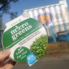inGreen pěstební set microgreens bez zalévání - Pak Choi Zelený