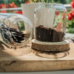 Vanilkový lusk Crystal ze Sumatry (18–25 cm)