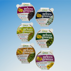 6x Sada microgreens semínka inWeek (výběr 3)
