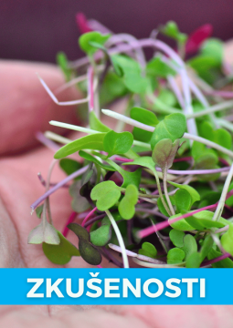 Sice nevím, co přesně mi vyrostlo, ale microgreens nám moc chutná, říká další z pěstitelek