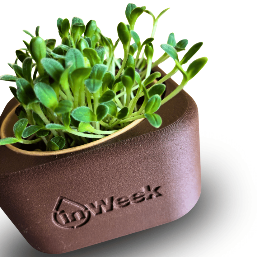 Obal na inWeek misku pro pěstování microgreens - Výběr obalu na misku: Zaoblený čtverec, Barva obalu: Světlá hnědá (přírodní odstín)