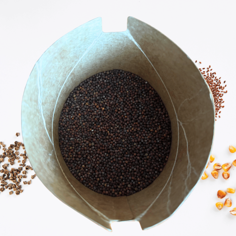 Ptačí mix – semínka microgreens pro ptáčky