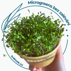 Microgreens semienka - Zmes so štipkou horkosti