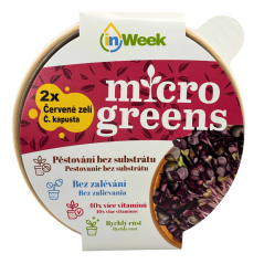 Červená kapusta - semienka microgreens - pestovanie bez zalievania inWeek