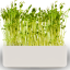 Pěstební box 2v1 pro microgreens – s logem inWeek
