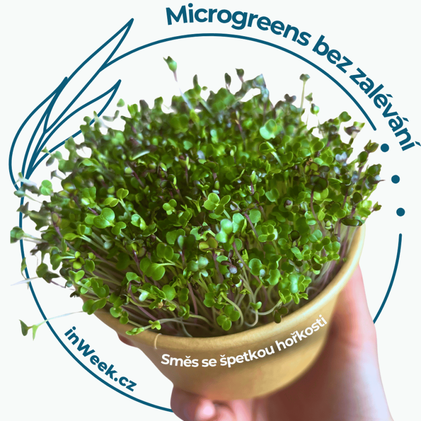 Microgreens  semínka - Směs se špetkou hořkosti - Výběr mix semínek: 1 ks sáčku semínek
