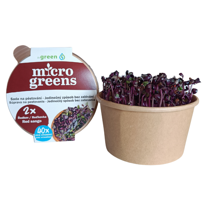Ředkev Red Sango - semínka microgreens - pěstování bez zalévání inWeek