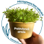 Microgreens semienka - Polievková zmes - Výber mix semienok: 1 ks vrecka semienok