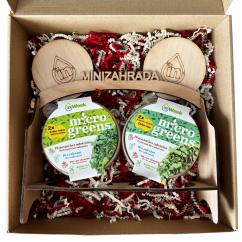 Microgreens dárková kolekce inWeek: Mini Garden