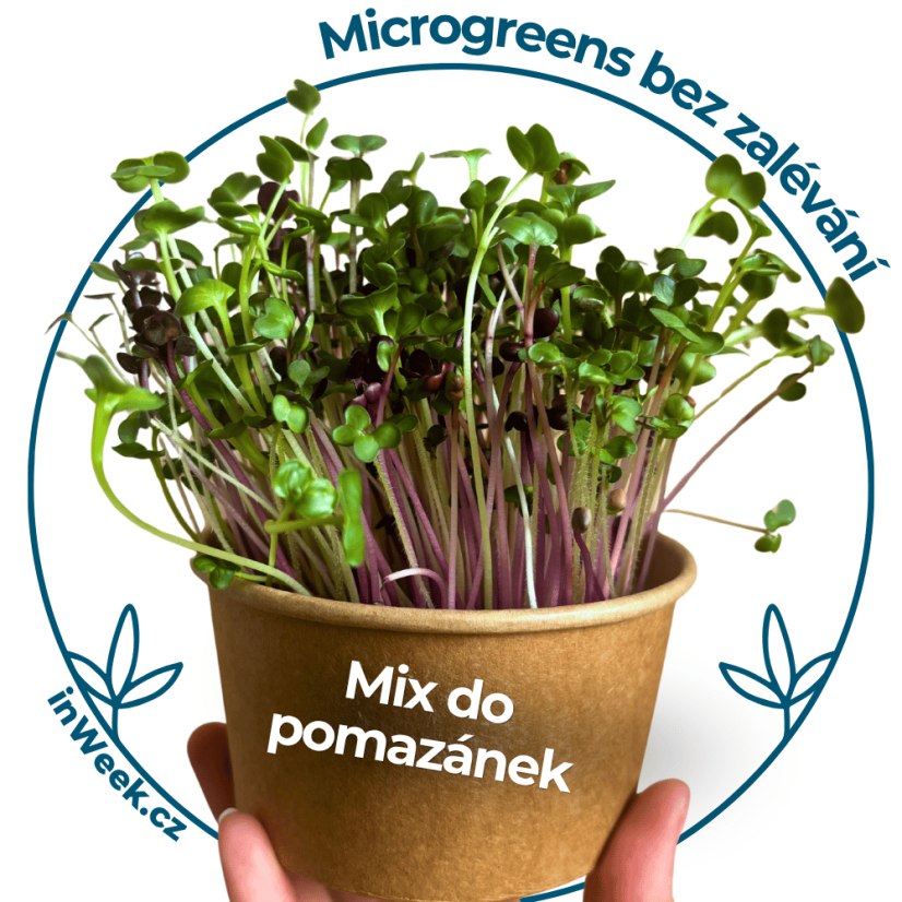 Microgreens  semínka - Mix do  pomazánek - Výběr mix semínek: 5 ks sáčků semínek