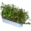 Pěstební box 2v1 pro microgreens – s logem inWeek