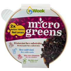 Hořčice Red locura - semínka microgreens - pěstování bez zalévání inWeek