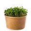 2x Mizuna bez zalévání - microgreens semínka inWeek