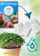 Pěstování microgreens s hydrogelem je nový trend