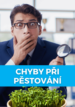 7 chyb, které způsobují plíseň při pěstování microgreens: Jak se jich zbavit