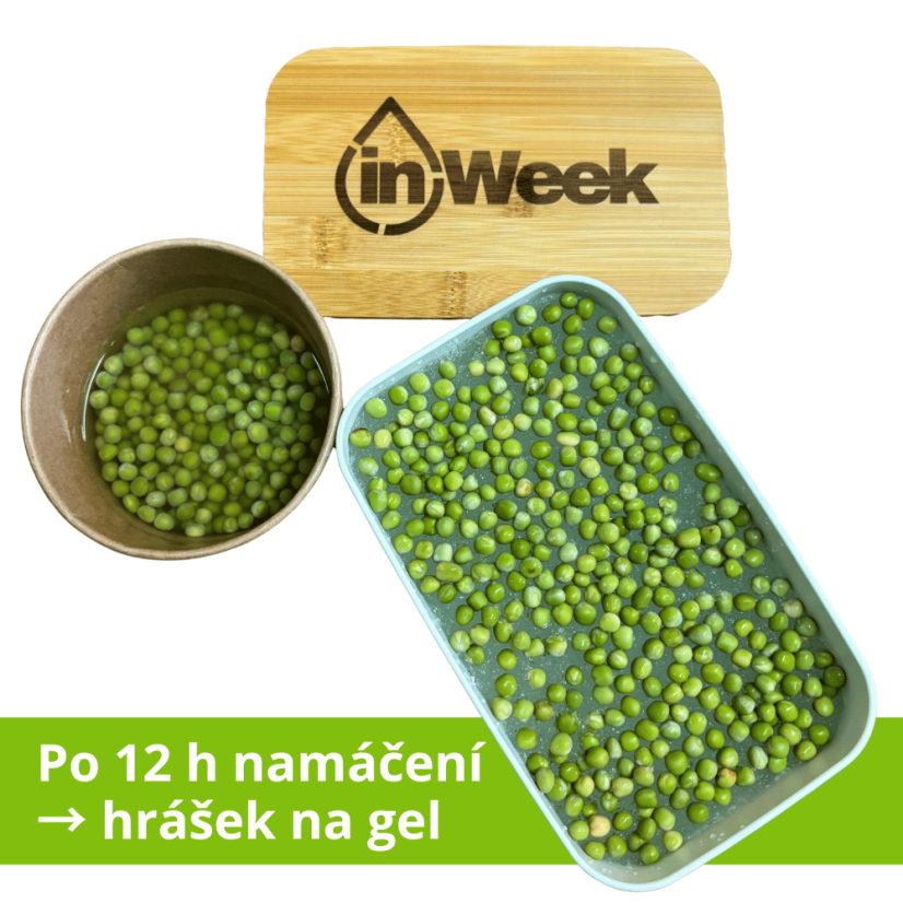 Pěstební box 2v1 s hráškem a hydrogelem - Barva boxu: Bílá