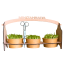 Minizahrádka pro 3 microgreens sety