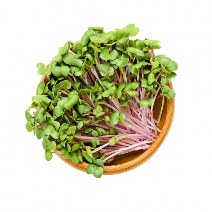 Reďkovka China Rose - semienka microgreens - pestovanie bez zalievania inWeek