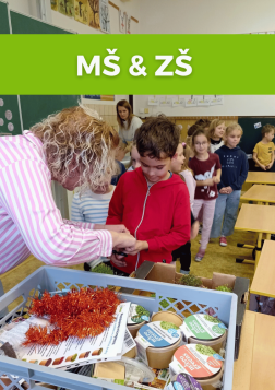 Pěstování microgreens ve školách a školkách