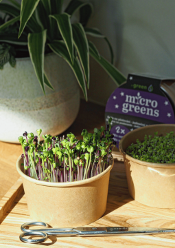 Vlaďka nám sdělila: Největší problém nastal, když manžel ostříhal microgreens kadeřnickými nůžkami!