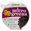 Hořčice Red locura - semínka microgreens - pěstování bez zalévání inWeek