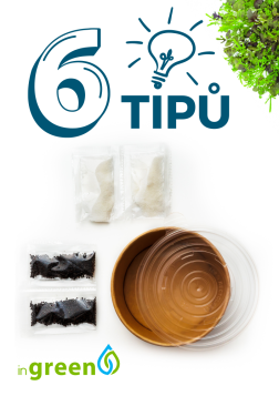 6 tipů pro rychlé pěstování microgreens