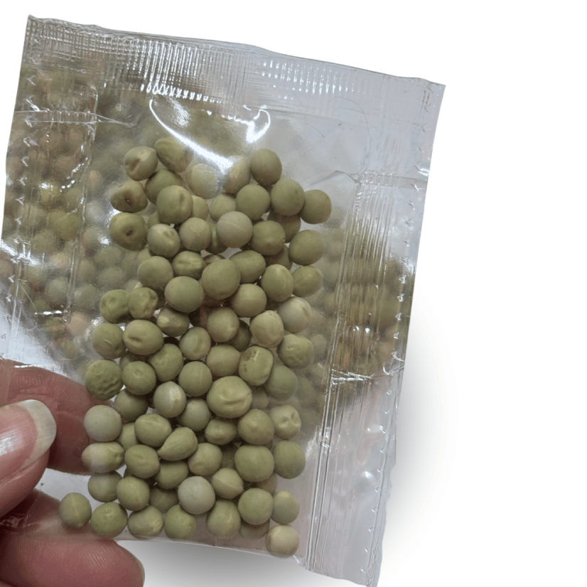 Hrášek - semínka microgreens - pěstování bez zalévání inWeek