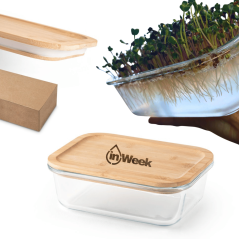 Sklenený box pre domáce pestovanie microgreens