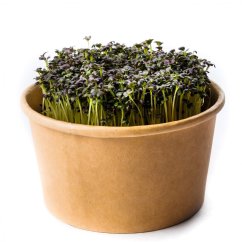 Mizuna červená - semínka microgreens - pěstování bez zalévání inWeek