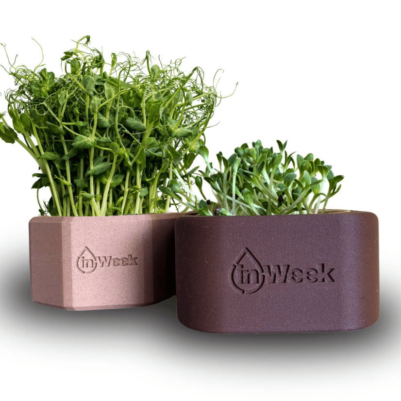 Obal na inWeek misku pro pěstování microgreens - Výběr obalu na misku: Mnohoúhelník, Barva obalu: Tmavá hnědá (ořechový odstín)