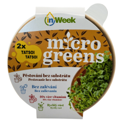 Tatsoi - semienka microgreens - pestovanie bez zalievania inWeek