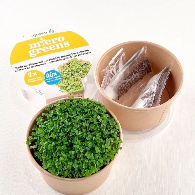Rukola - semienka microgreens - pestovanie bez zalievania inWeek