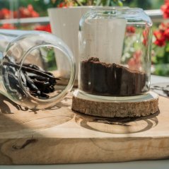 Vanilkový lusk Crystal ze Sumatry (18–25 cm)