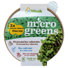 Reďkovka China Rose - semienka microgreens - pestovanie bez zalievania inWeek