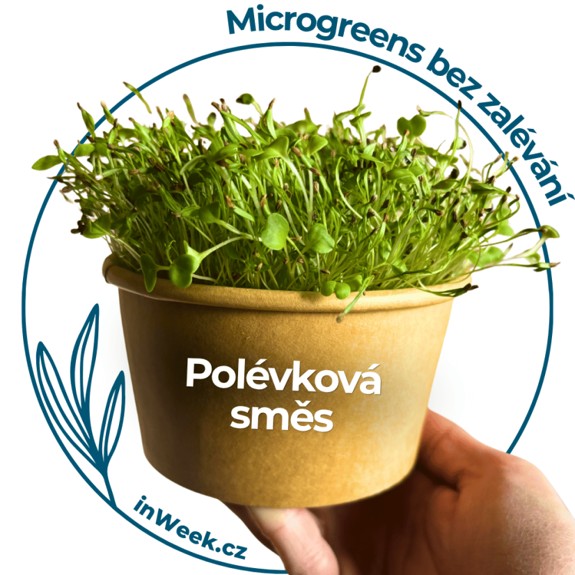 Microgreens semienka - Polievková zmes - Výber mix semienok: 1 ks vrecka semienok
