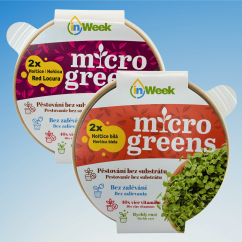 2x Hořčice bez zalévání - microgreens semínka inWeek.cz