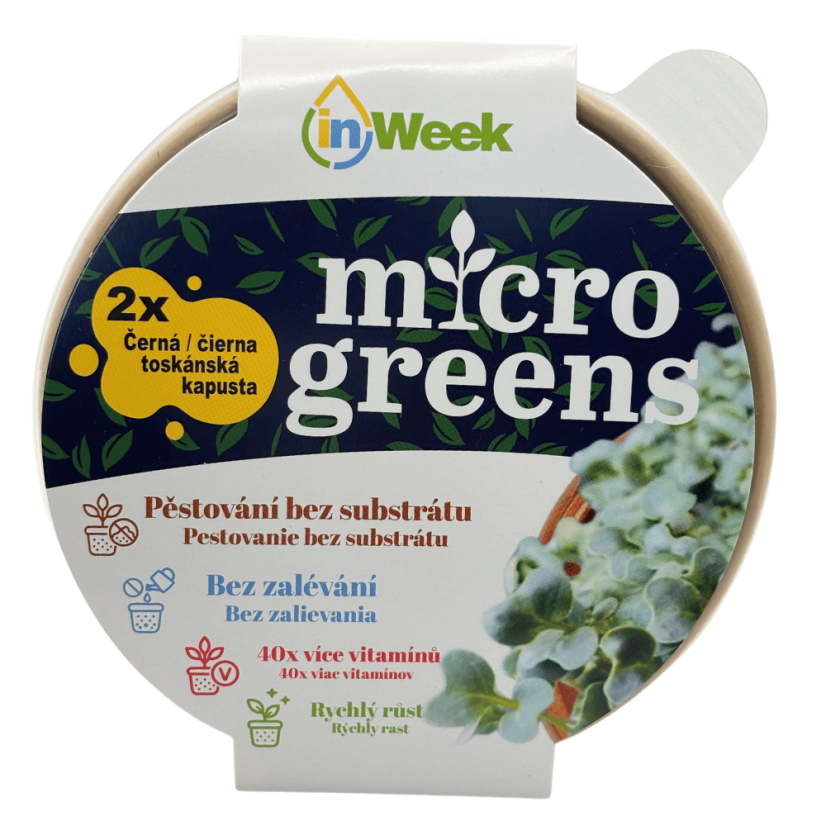 Černá toskánská kapusta - semínka microgreens - pěstování bez zalévání inWeek - Balení sady: S přebalem