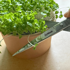 Nůžky do kuchyně i na microgreens